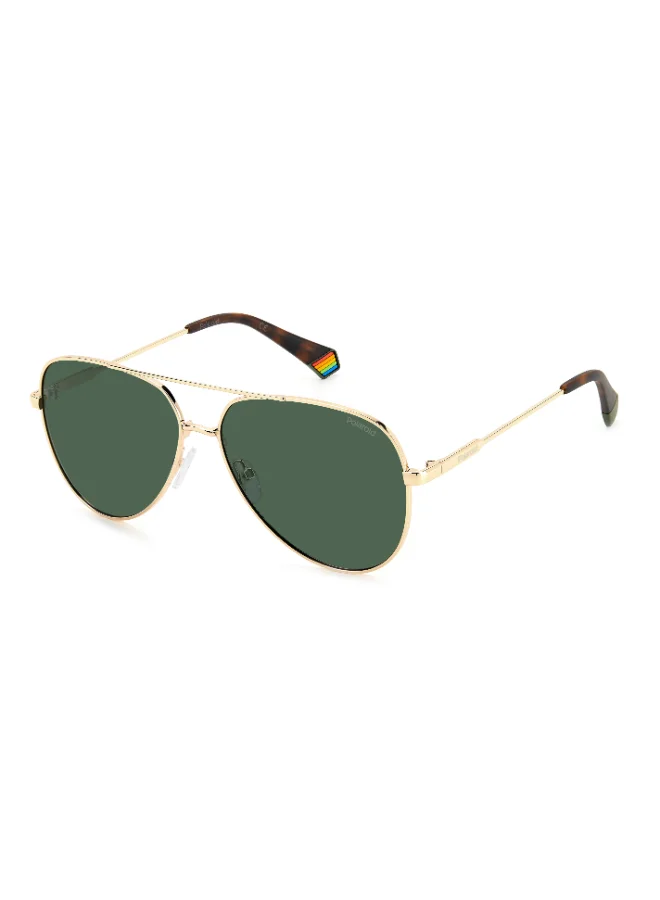 Pilot Polaroid Sunglasses